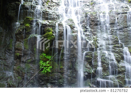 Ryusoga Falls 日本的100個瀑布選擇 福井縣今手郡池田町 Ryusoga Falls 日本的100個瀑布選擇 福井縣今手郡池田町 81270782