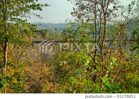 Landscape. Green hills, withered leaves and a railway bridge. Indian autumn Landscape. Green hills, withered leaves and a railway bridge. Indian autumn 81270851