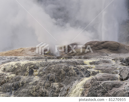 新西蘭 Te Puia Pofts Geyser Geyser Rotorua, 新西蘭 新西蘭 Te Puia Pofts Geyser Geyser Rotorua, 新西蘭 81270935