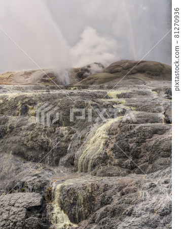 新西蘭 Te Puia Pofts Geyser Geyser Rotorua, 新西蘭 81270936