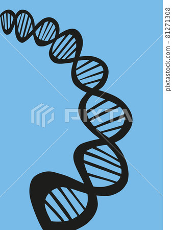 Freehand vector sketch of DNA Freehand vector sketch of DNA 81271308