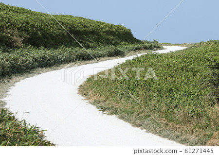 Soya Hills Northernmost White Road White Road Shell Road 81271445
