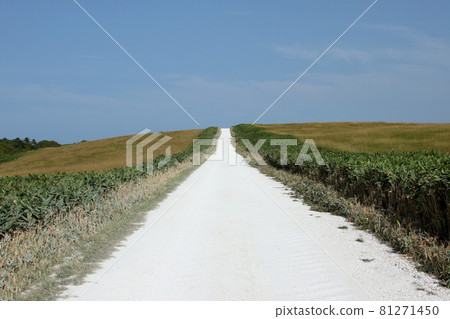 Soya Hills Northernmost White Road White Road Shell Road 81271450
