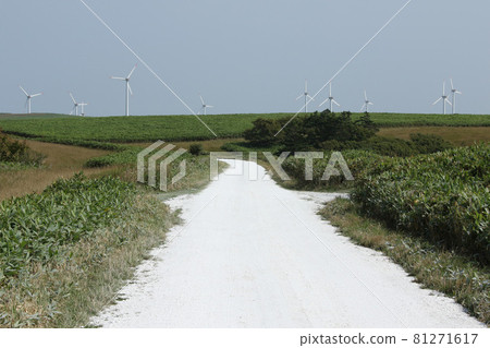 Soya Hills Northernmost White Road White Road Shell Road 81271617