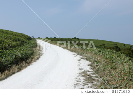 Soya Hills Northernmost White Road White Road Shell Road 81271620