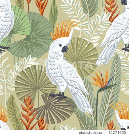 Vector seamless tropical pattern with cockatoo and exotic leaves. 81271660