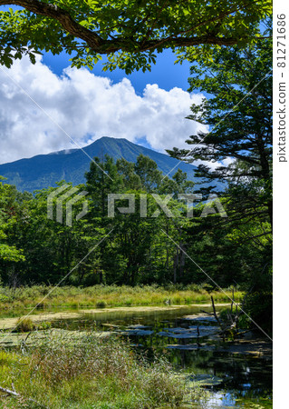 Izumiyado Pond and Mt. Nantai Izumiyado Pond and Mt. Nantai 81271686