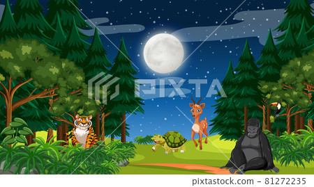Forest at night time scene with different wild animals 81272235
