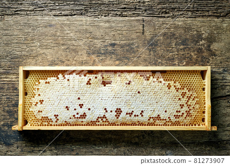 wooden frame of honey combs wooden frame of honey combs 81273907