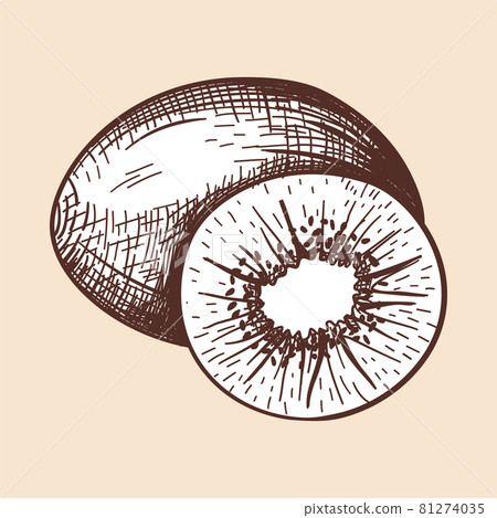 Icon Of Kiwi 81274035