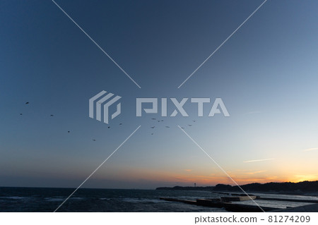 Sunset, dusk, sunset silhouette, magic hour 81274209