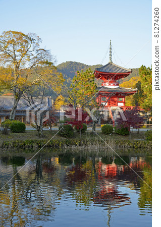 [Autumn leaves of Daikakuji Temple, Sagano, Kyoto] Autumn image 81274260