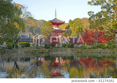 [Autumn leaves of Daikakuji Temple, Sagano, Kyoto] Autumn image 81274262