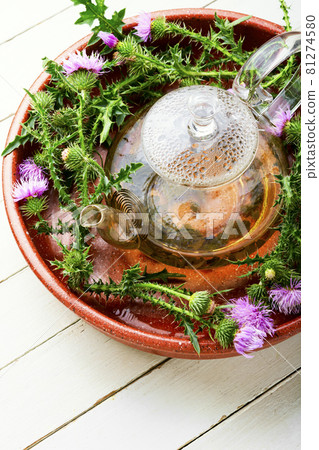Thistle in herbal medicine 81274580