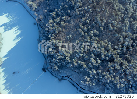 Forest near frozen river in winter Forest near frozen river in winter 81275329