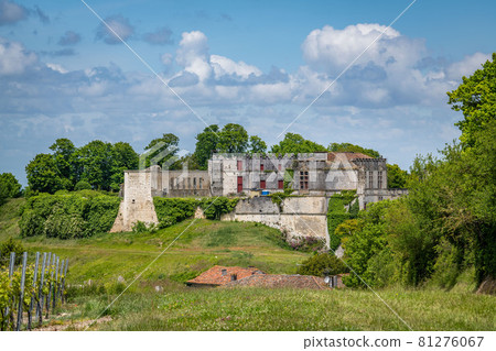 Cognac vineyard, village and Bouteville Church and castle, vintage great champagne 81276067