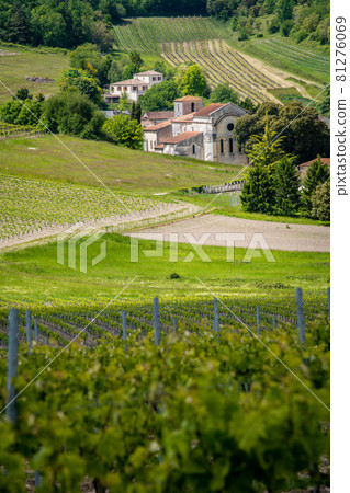 Cognac vineyard, village and Bouteville Church and castle, vintage great champagne 81276069