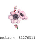 watercolor illustration of a small bouquet of anemone flowers isolated on white 81276311