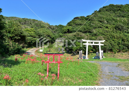 朝日市 / Watatsumi Shrine Torii 81276543