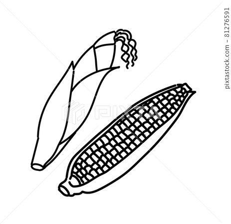 玉米蔬菜插圖黑白單色 81276591