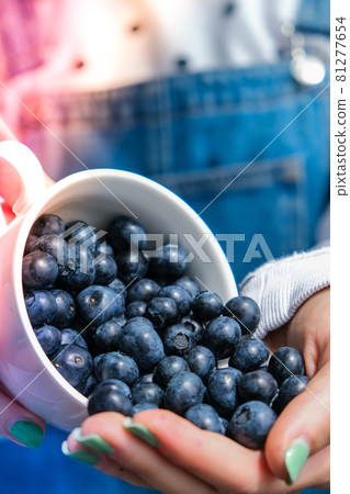 Woman holding bowl with fresh blueberries. Harvesting concept. Female hands collecting berries. The concept of vegetable garden cottage harvest gardening 81277654