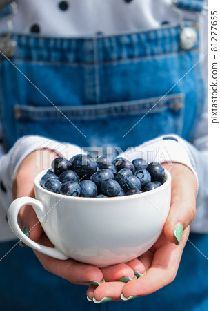 Woman holding bowl with fresh blueberries. Harvesting concept. Female hands collecting berries. The concept of vegetable garden cottage harvest gardening Woman holding bowl with fresh blueberries. Harvesting concept. Female hands collecting berries. The concept of vegetable garden cottage harvest gardening 81277655