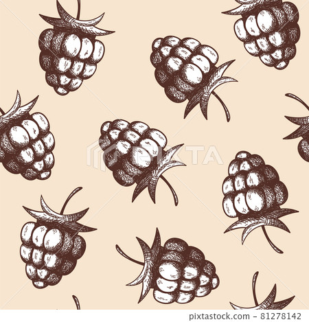 Seamles Pattern Of Raspberry 81278142