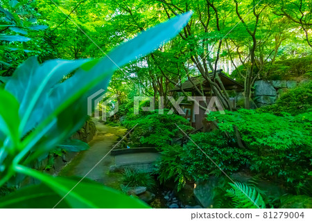 Jozanen，美麗的綠色日本花園<愛知縣安城市> 81279004