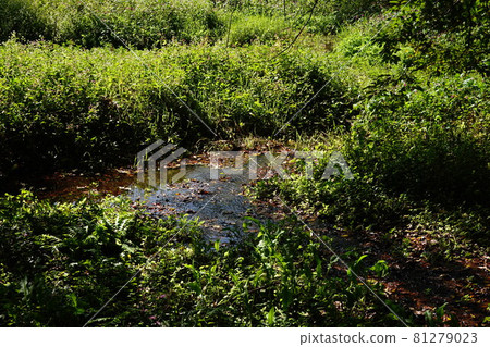 Kakita River Park 81279023