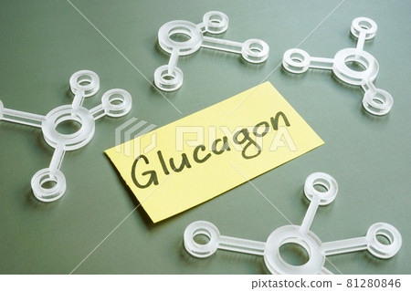 Glucagon handwritten on the sticker and chemical models. 81280846