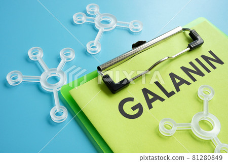 Info about Galanin or GMAP prepropeptide on the piece of paper. 81280849