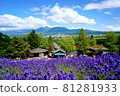 Tokachi mountain range over lavender 81281933