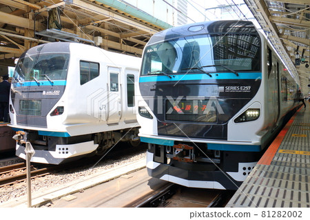 東京車站大鳥子E257系列火車的特快列車 東京車站大鳥子E257系列火車的特快列車 81282002