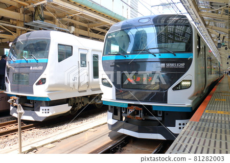 東京車站大鳥子E257系列火車的特快列車 東京車站大鳥子E257系列火車的特快列車 81282003