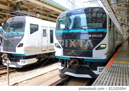 東京車站大鳥子E257系列火車的特快列車 東京車站大鳥子E257系列火車的特快列車 81282004