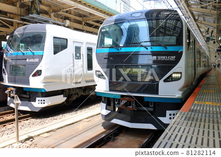 Special express train at Tokyo Station, Japan Odoriko E257 series train 81282114