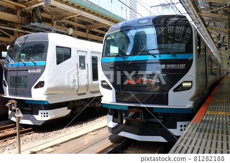 Special express train at Tokyo Station, Japan Odoriko E257 series train 81282188