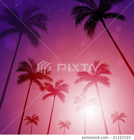 palm tress city night palm tress city night 81282583
