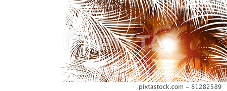 tropical palm trees banner 81282589