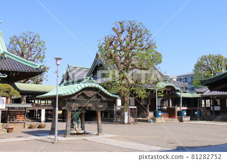 東京葛飾區Shibamata的Shibamata Taishakuten Taishakudo和Mizuryu no Matsu 81282752