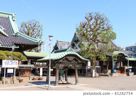 Shibamata Taishakuten Taishakudo and Mizuryu no Matsu in Shibamata, Katsushika-ku, Tokyo 81282754