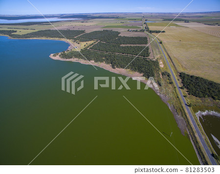 Pampas lagoon, aerial view 81283503
