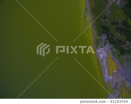 Pampas lagoon, aerial view 81283504