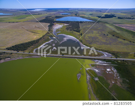 Pampas lagoon, aerial view 81283505