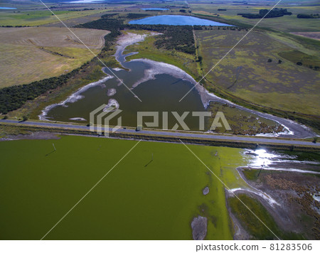 Pampas lagoon, aerial view 81283506