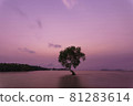 Photo tree of mangroves on  beach with sea in the morning 81283614