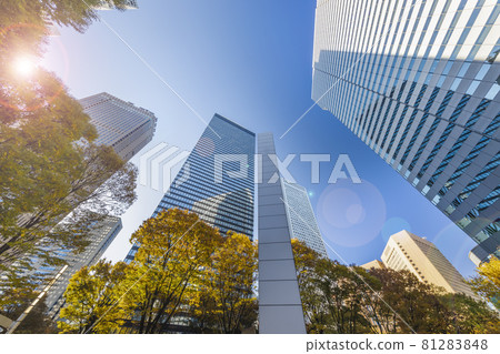 Skyscrapers in Tokyo illuminated by the morning sun 81283848