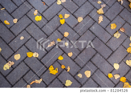 yellow fallen leaves lie on the tiles on the path in the park. top view 81284526
