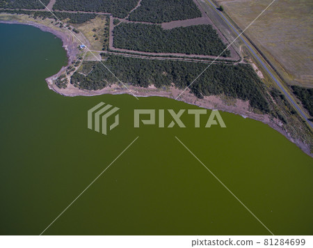 Pampas lagoon, aerial view 81284699