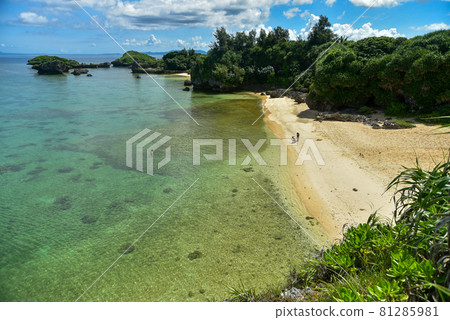 A spectacular view of the beautiful sea in Okinawa 81285981